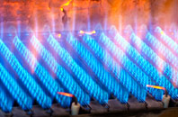 Preston Plucknett gas fired boilers